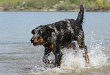 BEAUCERON 668